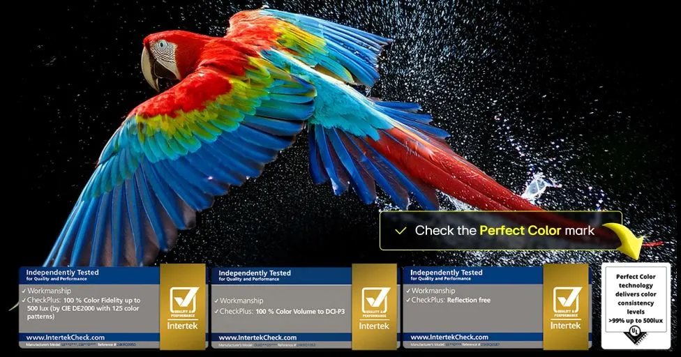 Smart Tivi LG Evo Oled 4K 83 inch 83M5PSA Tận hưởng sắc màu sống động