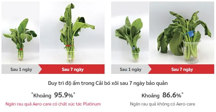 Ngăn Rau Quả Aero-care