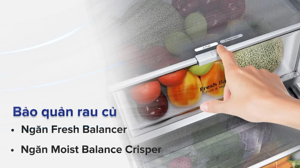 Ngăn bảo quản rau củ Fresh Balancer