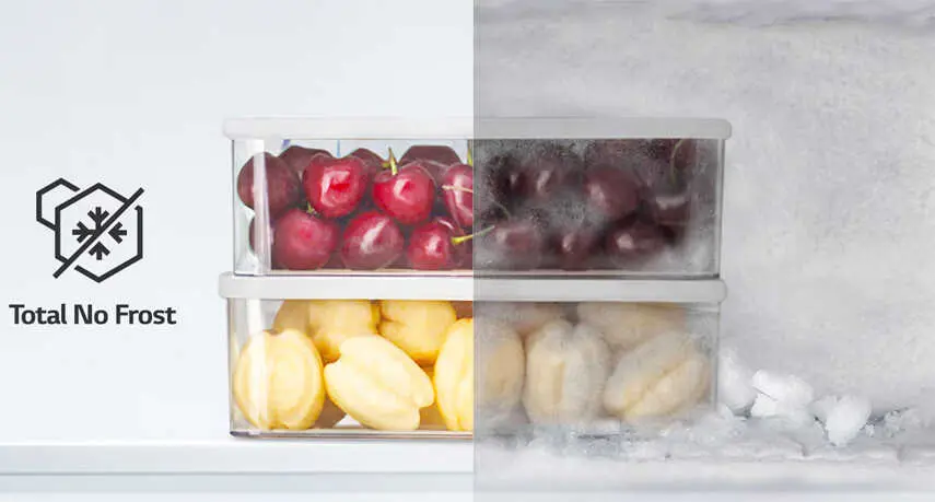 Làm mát tươi ngon với Total No Frost